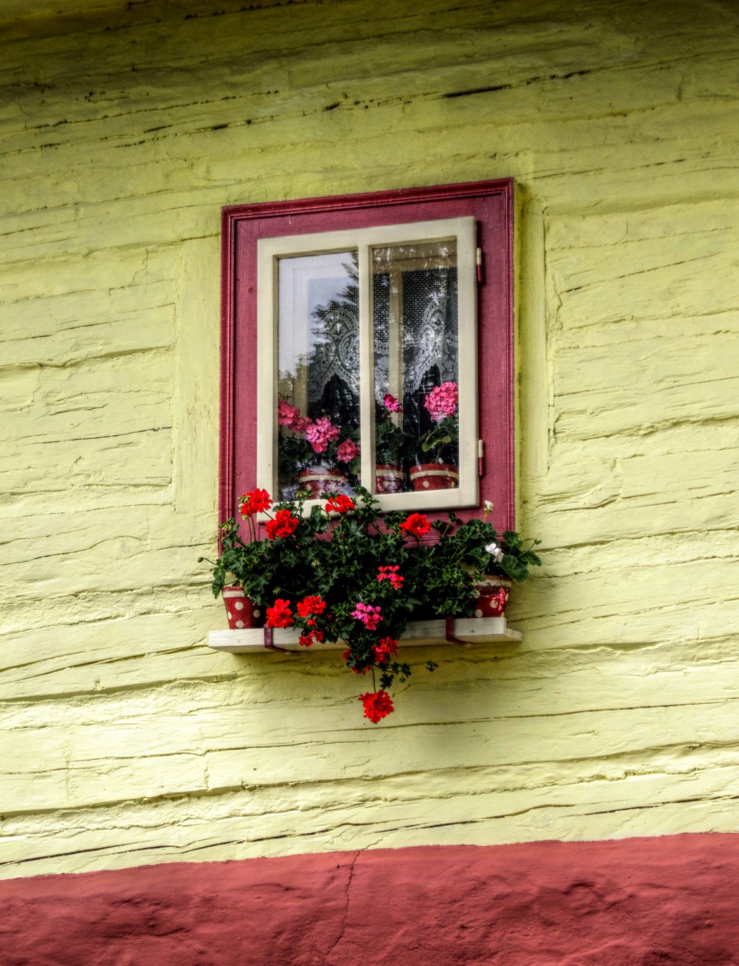 window old flowers free photo