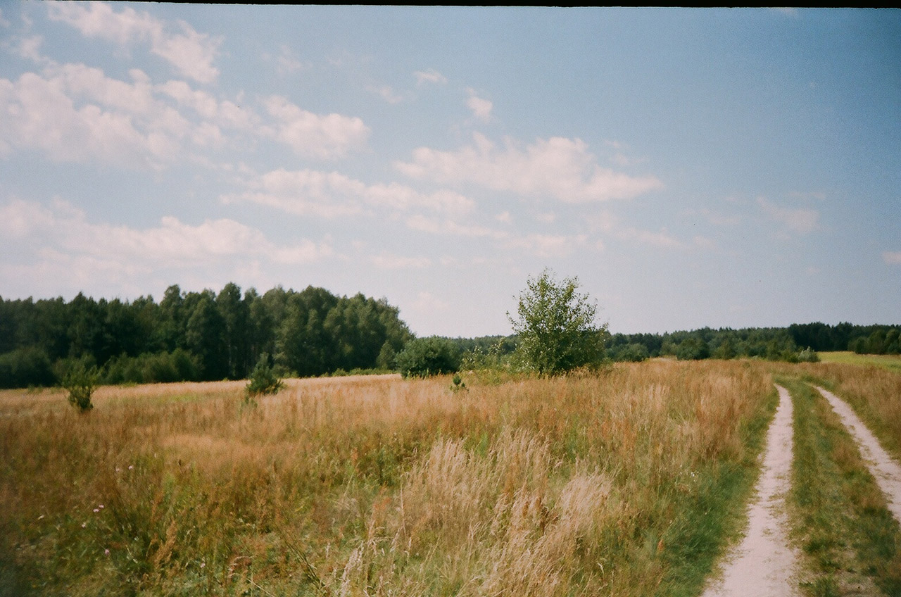 biłgoraj meadows around bilgoraj free photo
