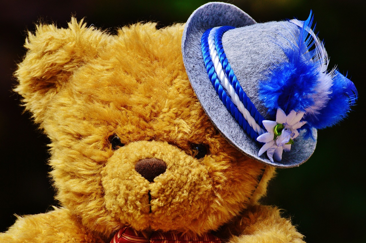 oktoberfest teddy hat free photo