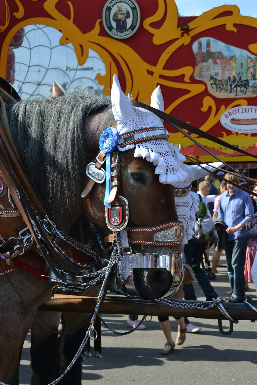 Oktoberfest,horse,brauereigaul,munich,kaltblut free image from