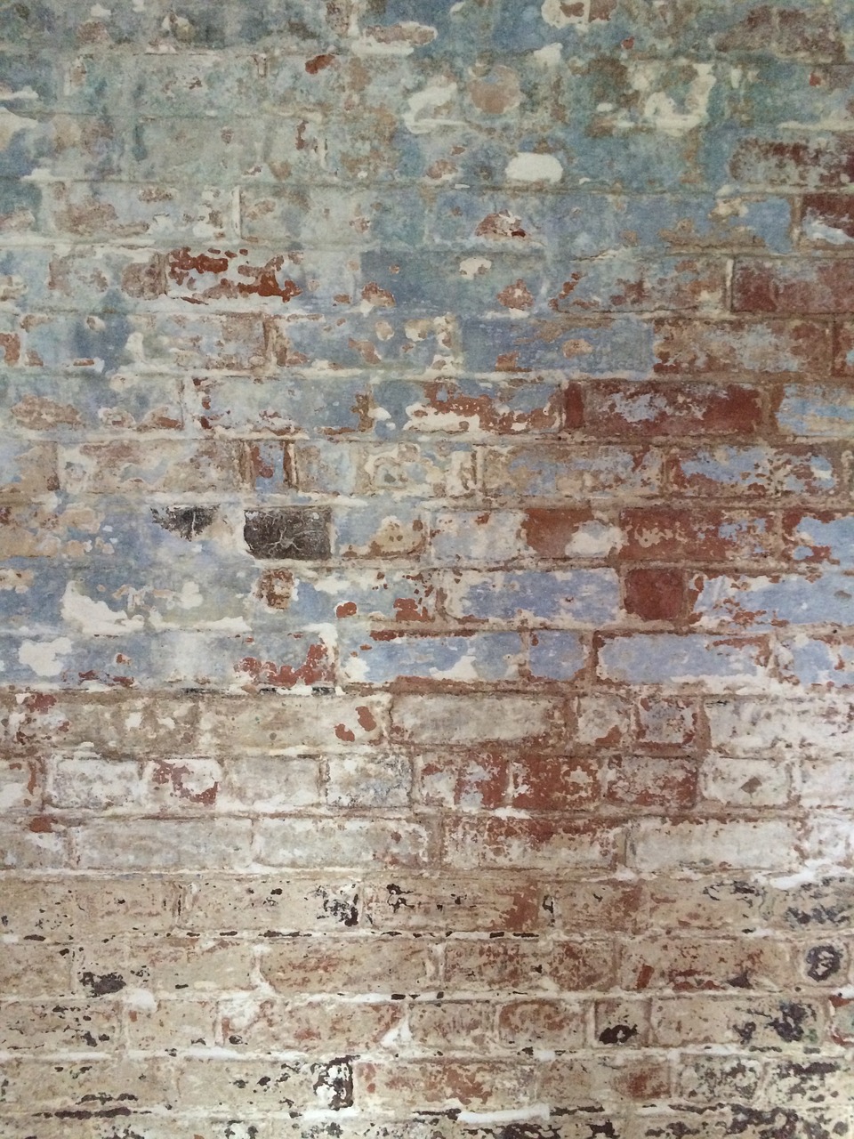 old paint wall free photo