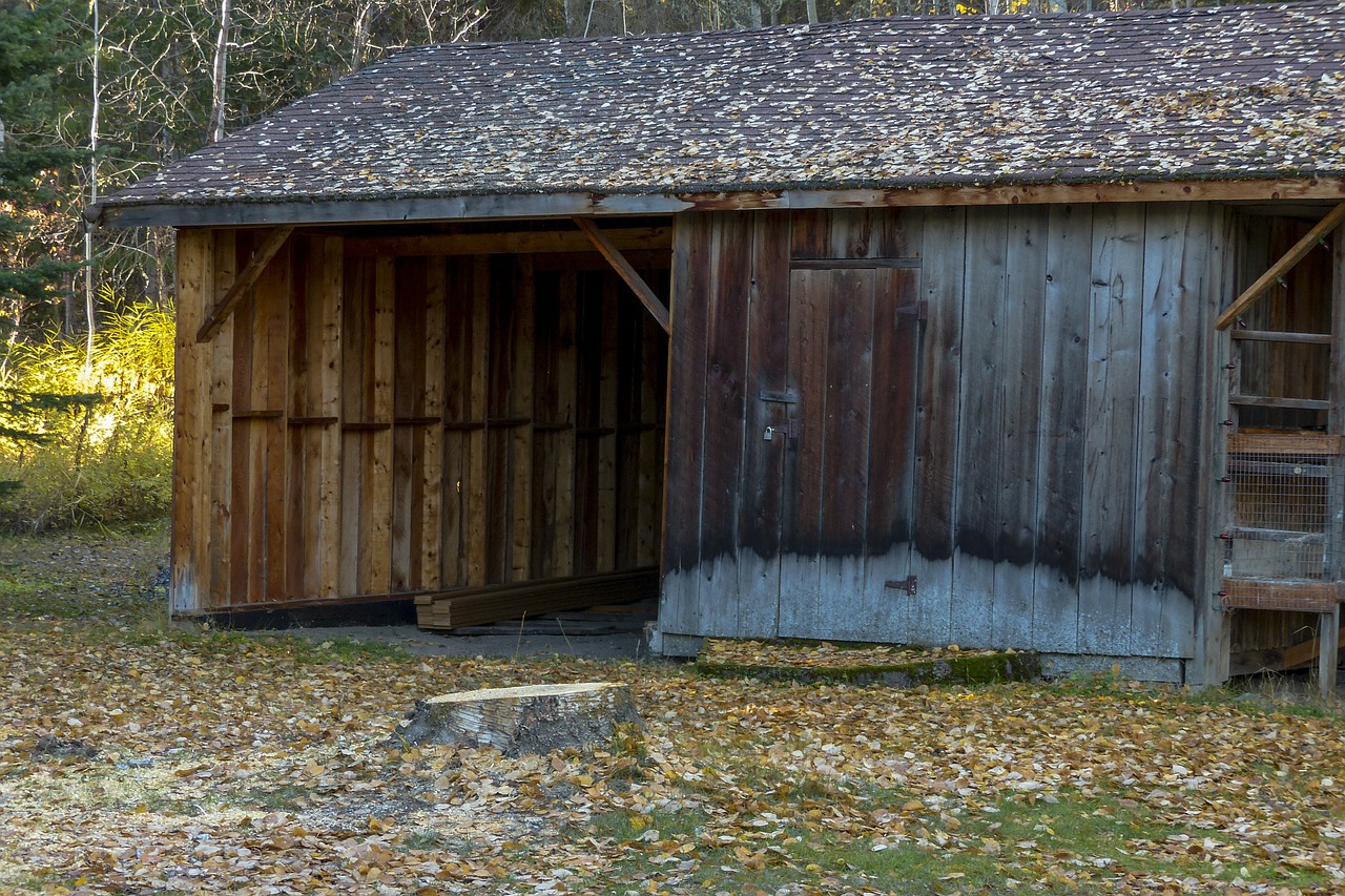 old wooden shed free photo