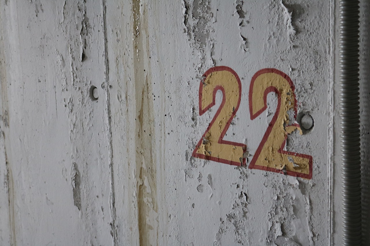 old number 22 free photo