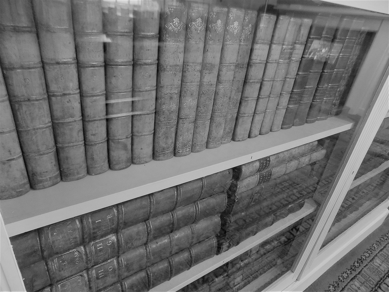 old books library free photo