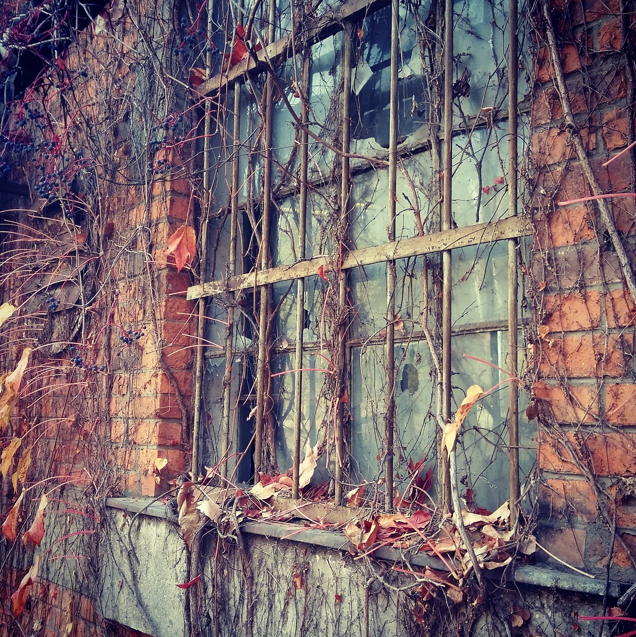 old factory window free photo