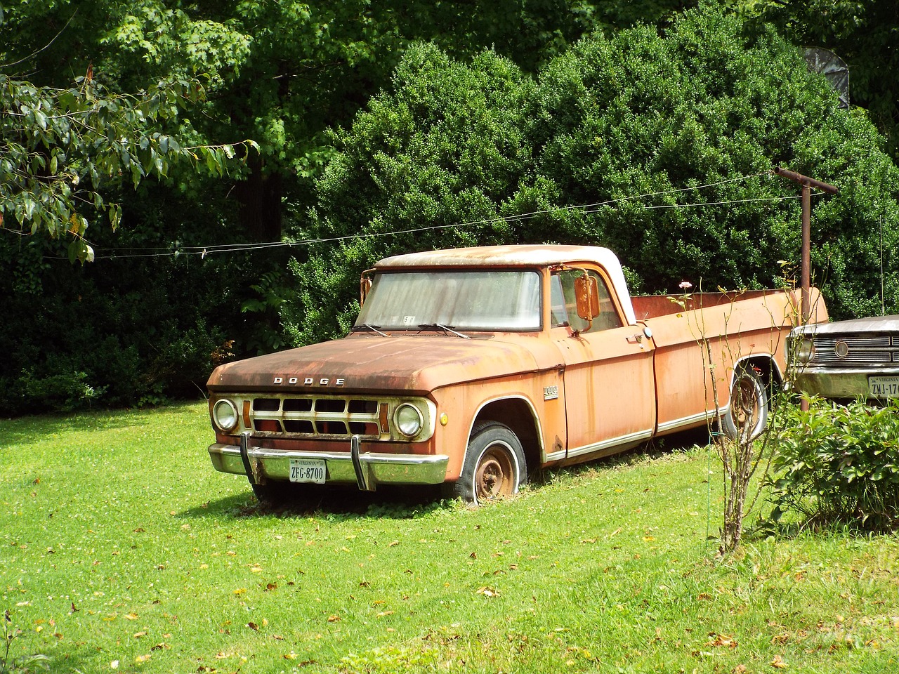 old dodge truck free photo