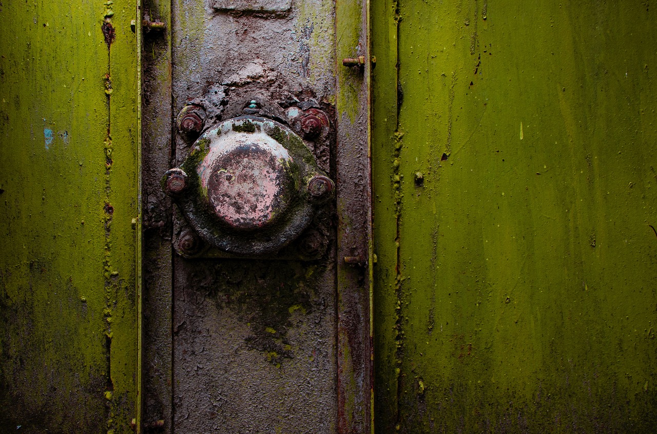 old rust door free photo