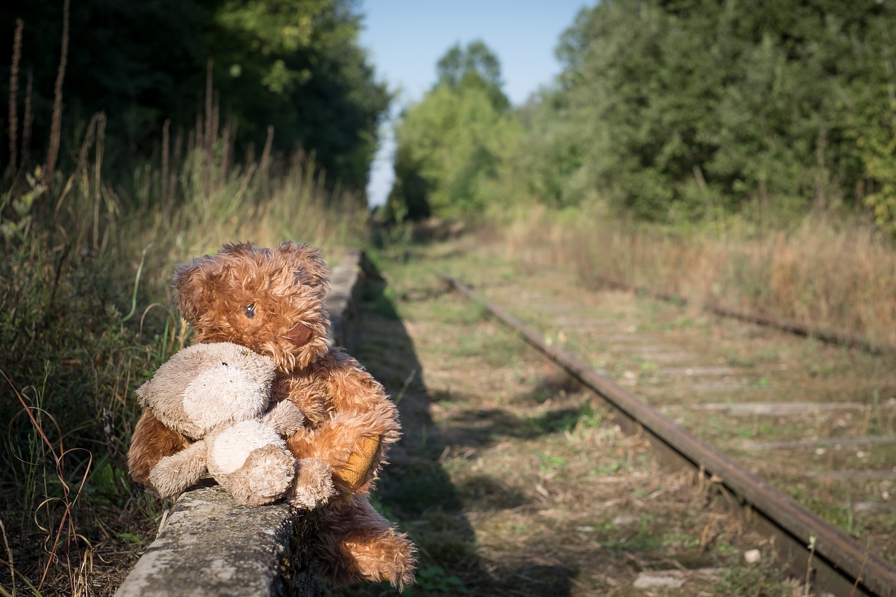 Download free photo of Old,teddy,bear,lonely,childhood - from needpix.com