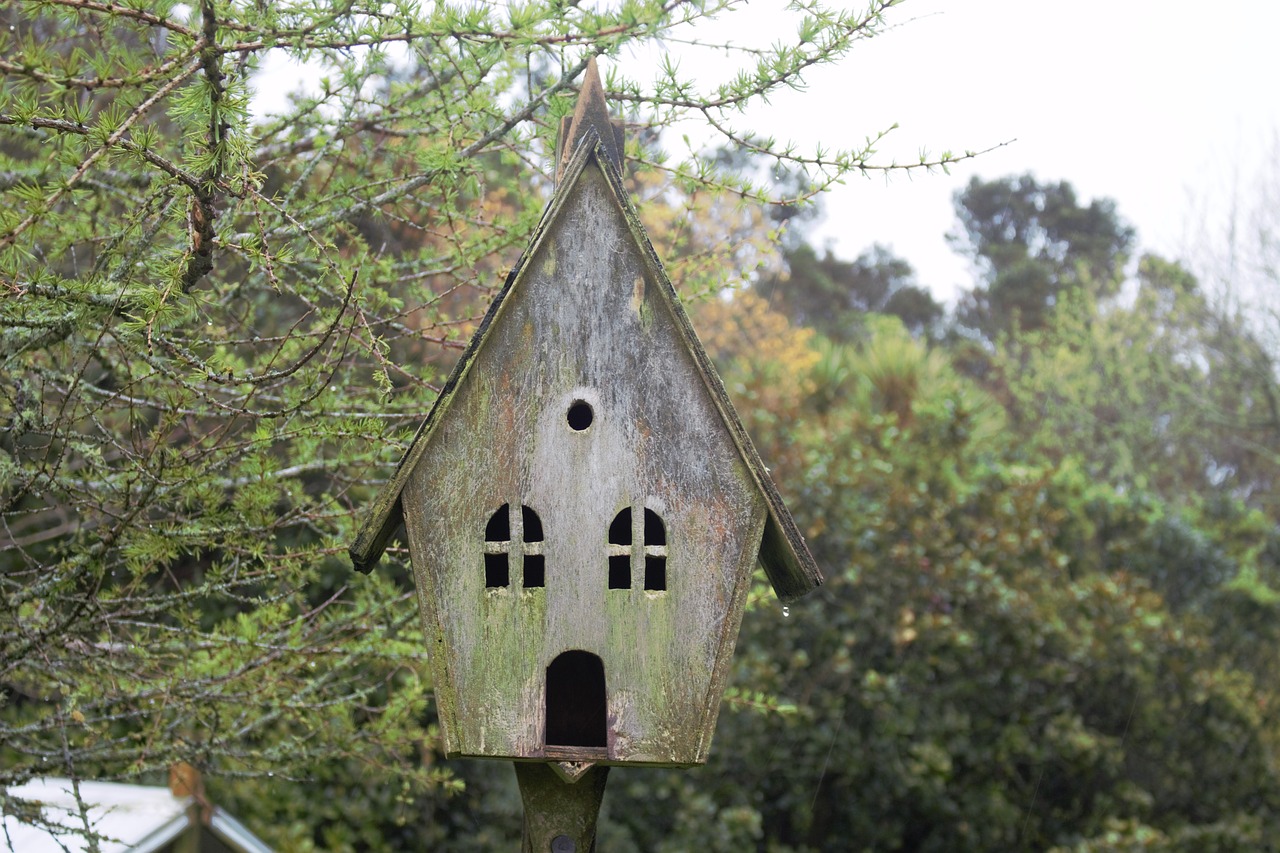 old weathered birdhouse free photo