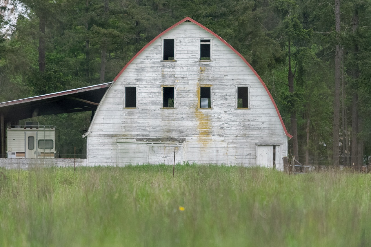 old  barn  white free photo