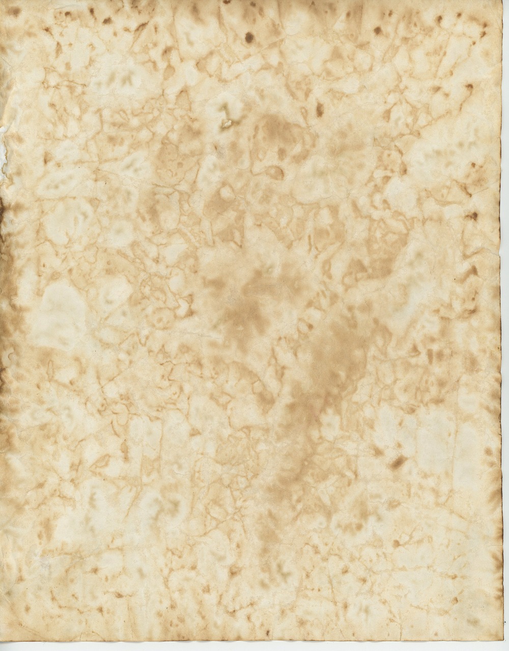 old parchment paper free photo