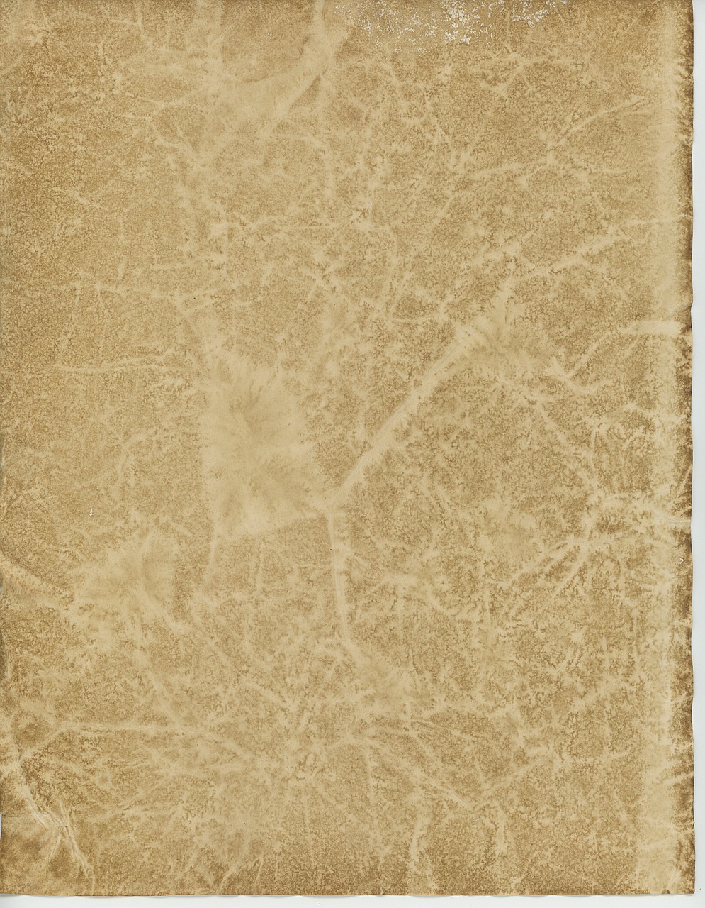 old parchment paper free photo