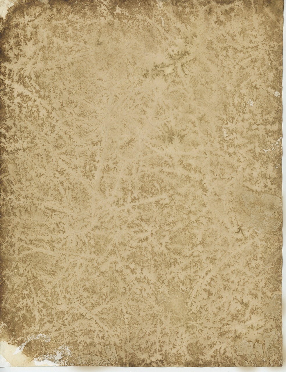 old parchment paper free photo