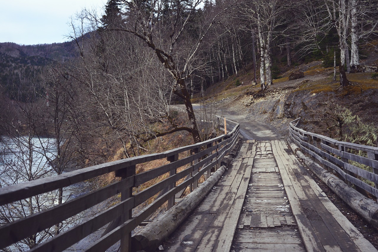 old  bridge  river free photo