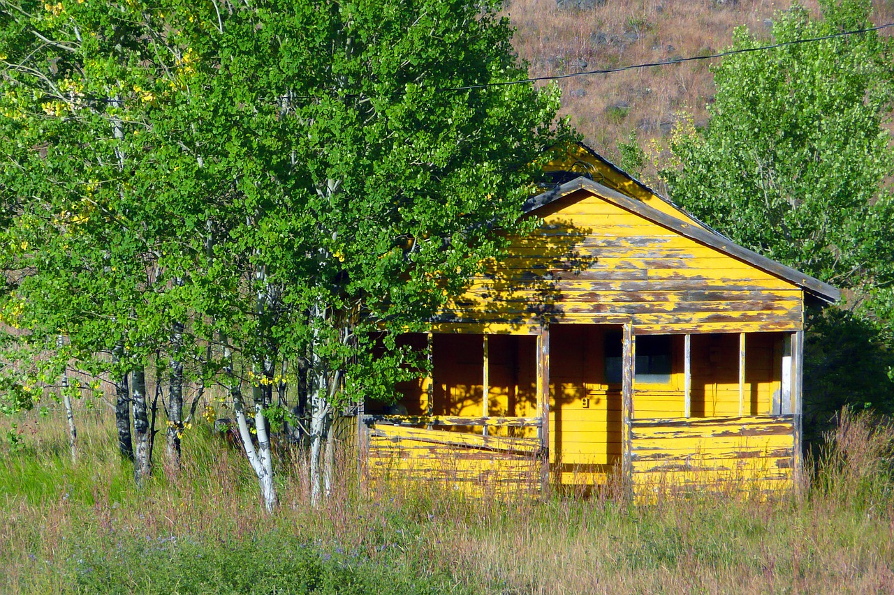 old yellow shed free photo