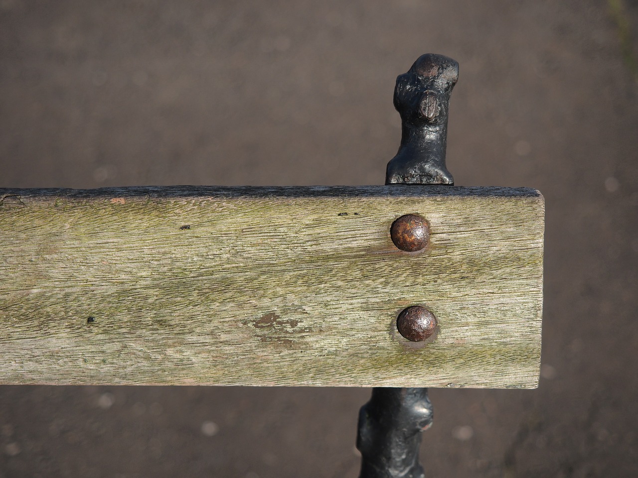 old bench wood free photo