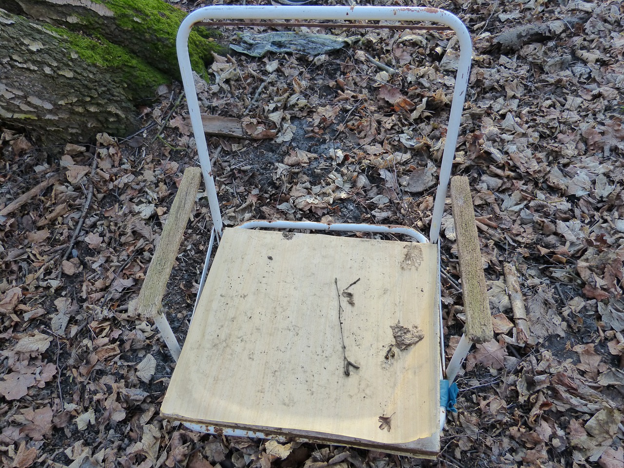 old chair forest free photo