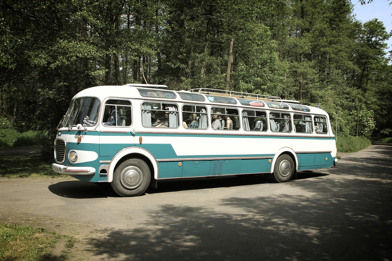 old bus oldtimer free photo