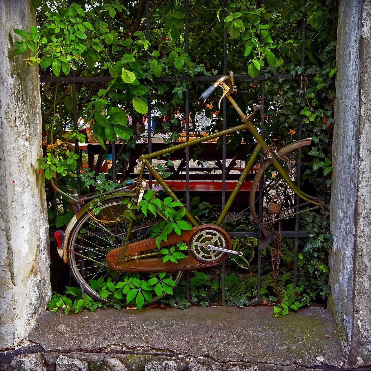 old bike rust free photo