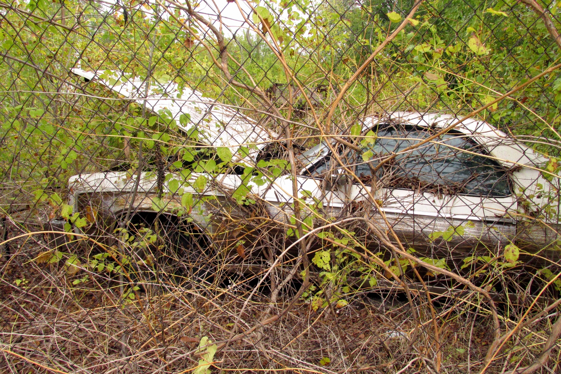 car dilapidated run-down free photo