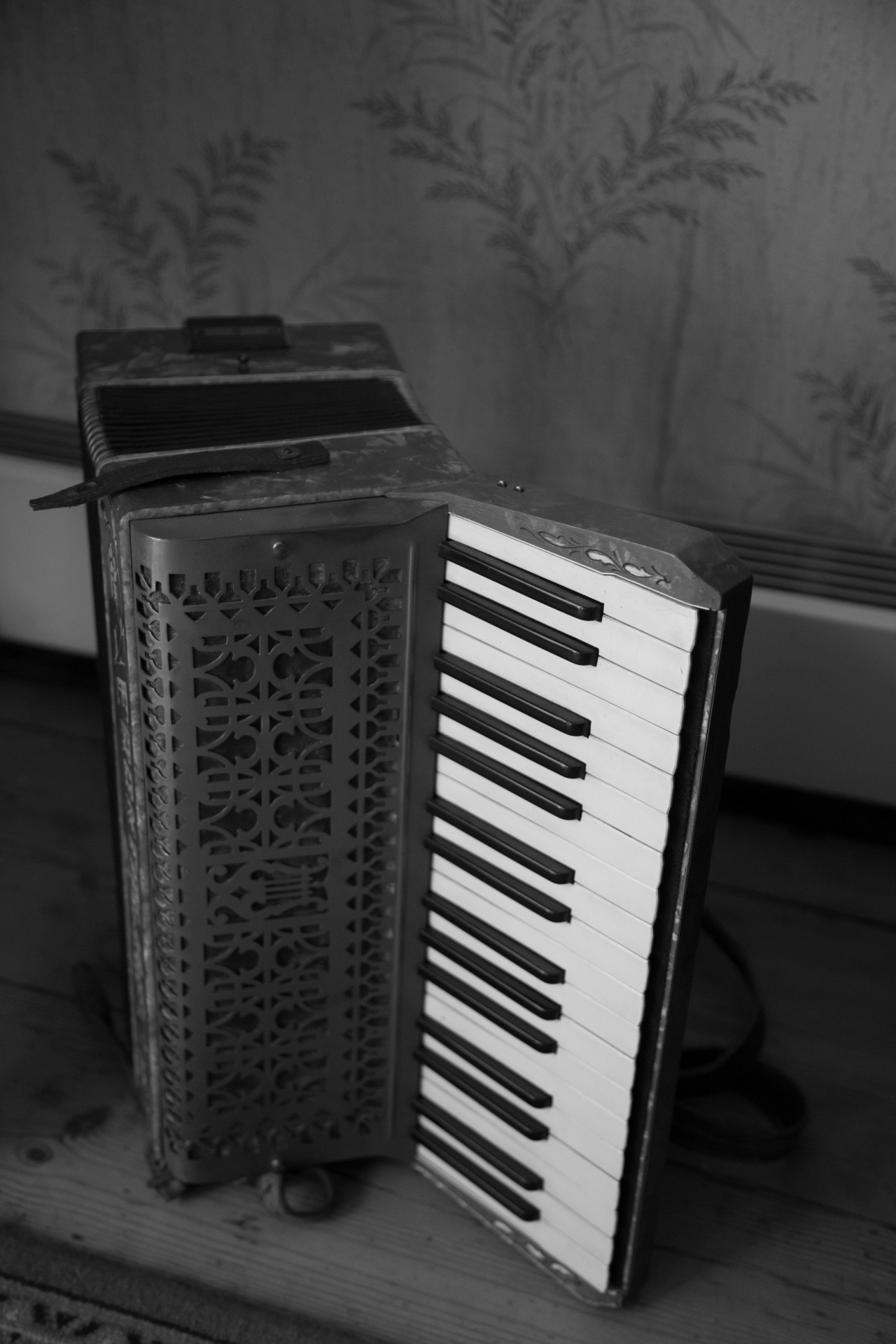 accordion classical leisure free photo