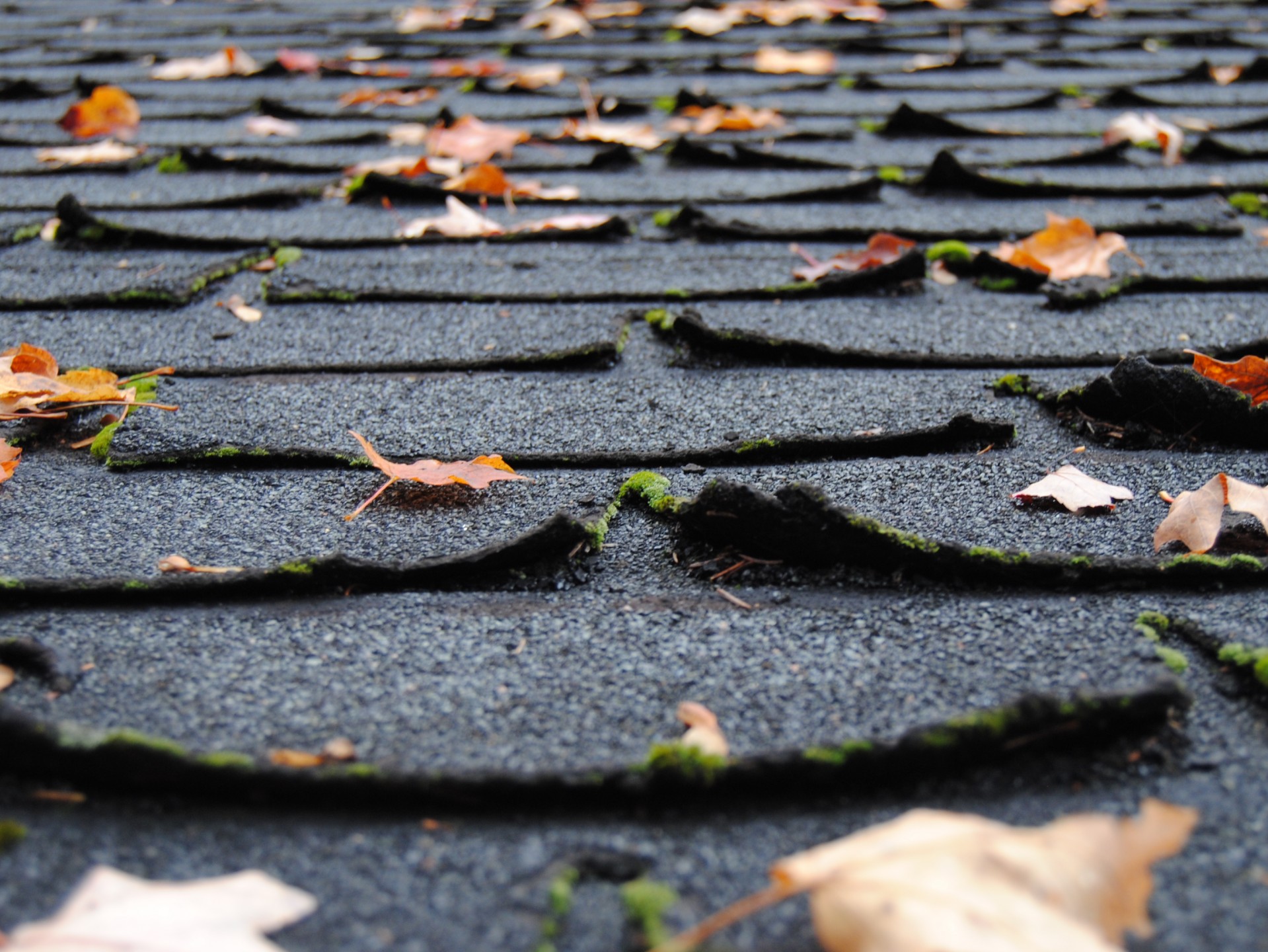 roofing asphalt shingles free photo