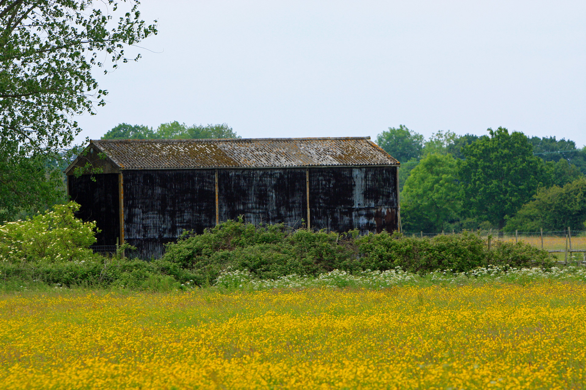 barn old field free photo