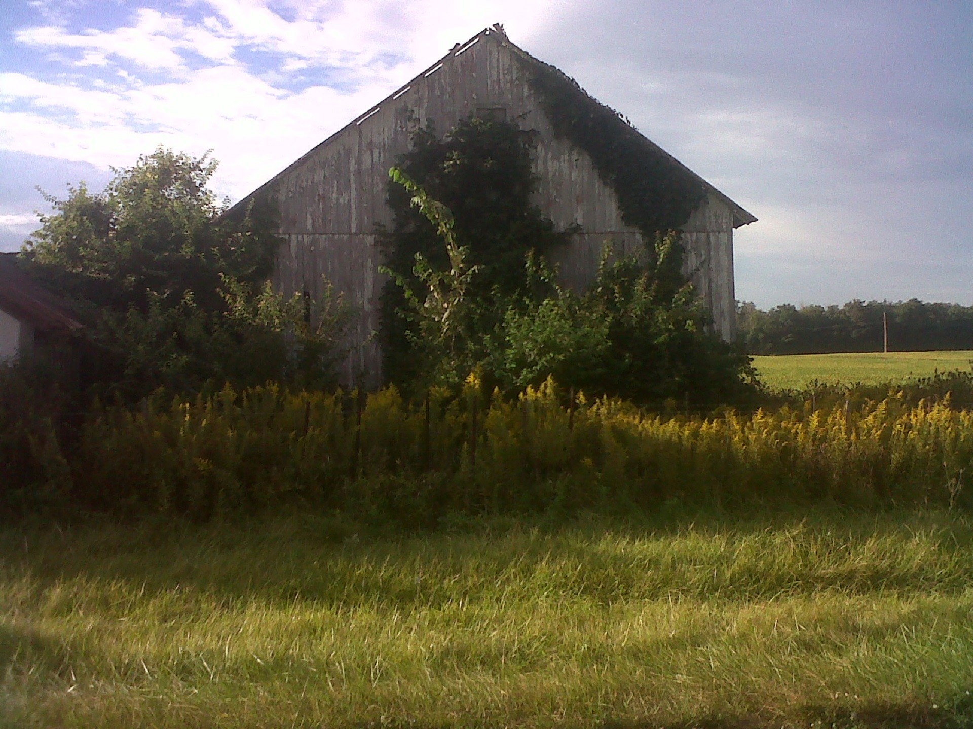 barn shack dilapidated building free photo