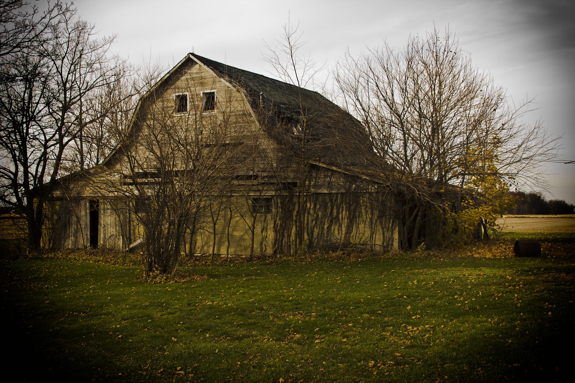 decaying decay barns free photo