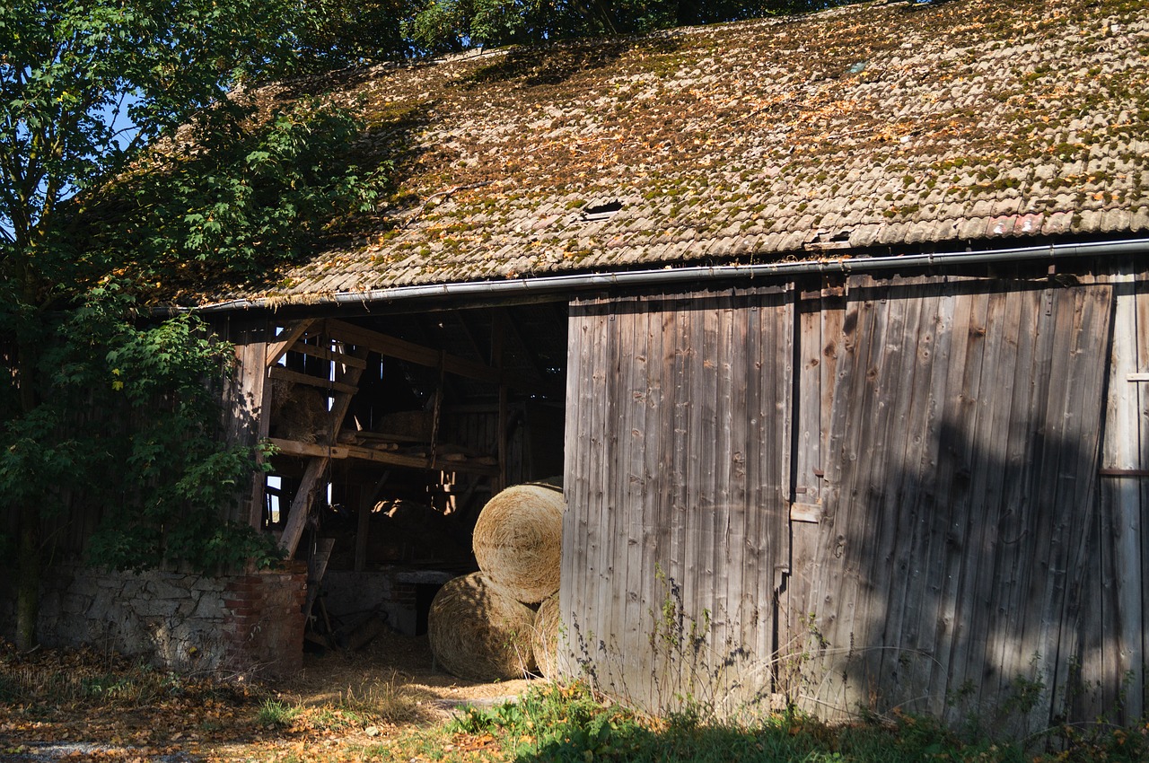 old barn  agriculture  hay bales free photo