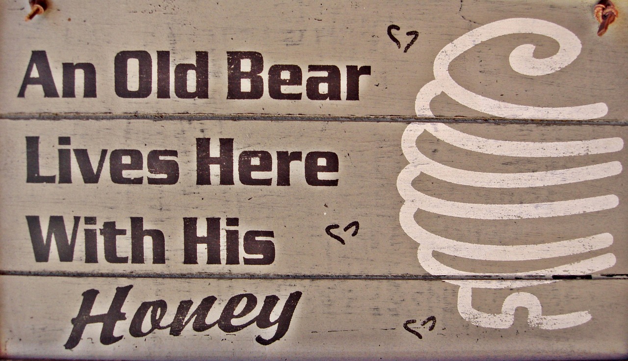 old bear sign retro free photo