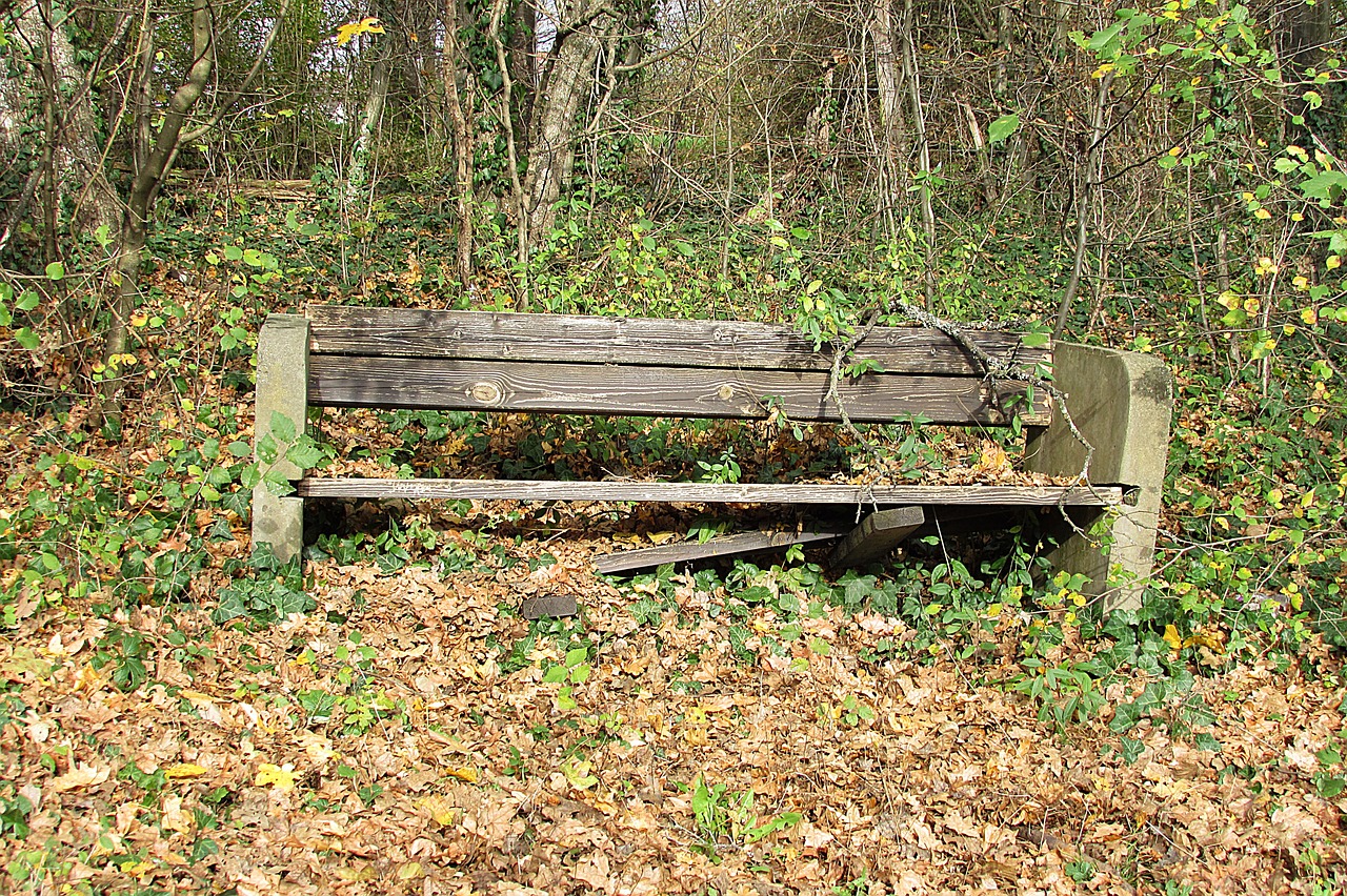 old bench lapsed park bench free photo