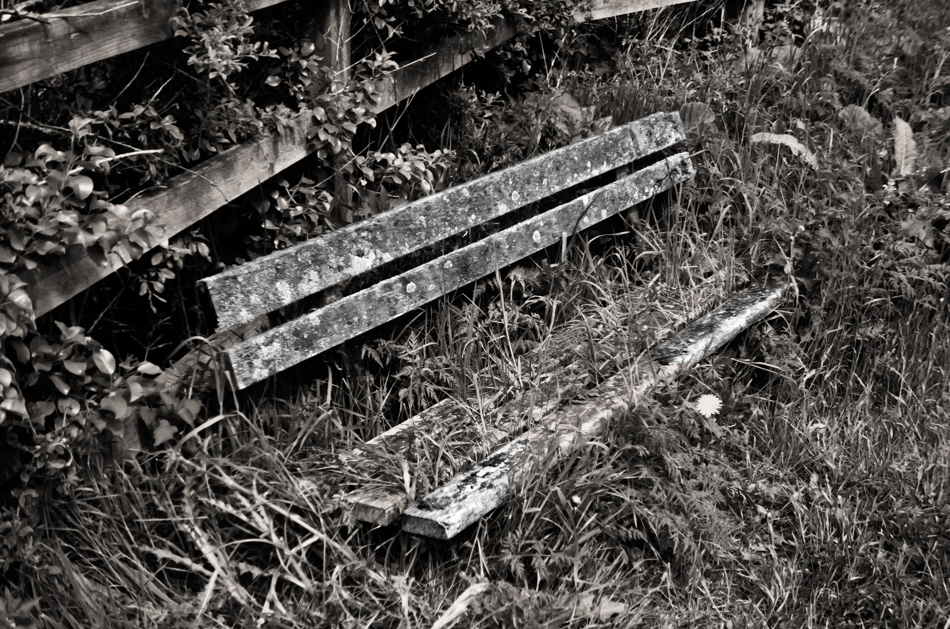 old bench wood free photo