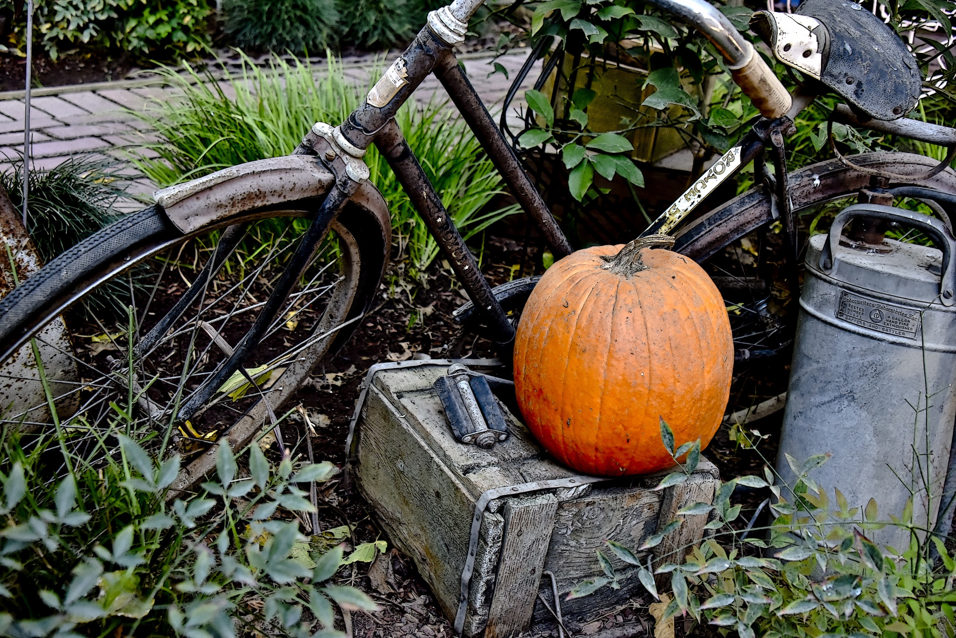 bicycle bike pumpkin free photo