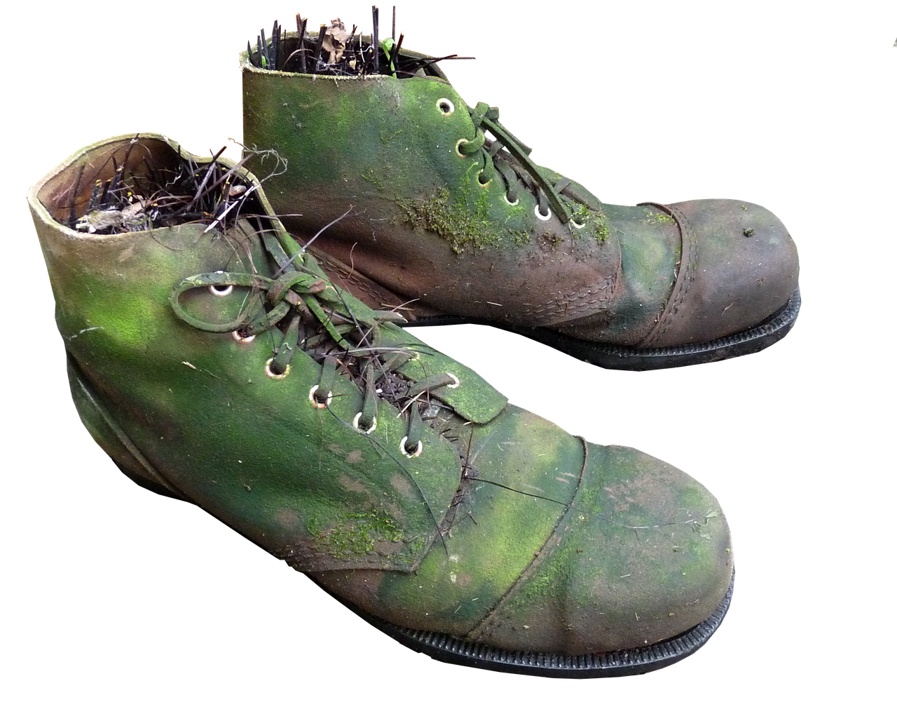 old boots moss planter free photo