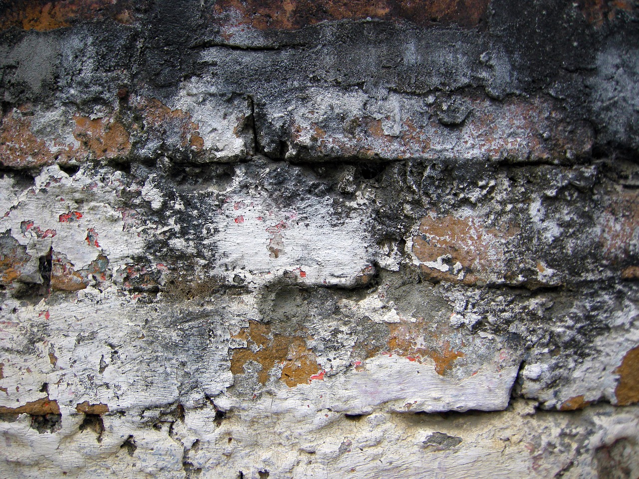 old brick aged wall free photo