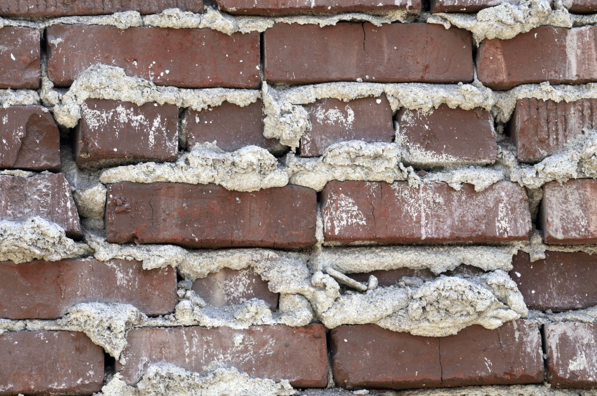brick bricks wall free photo