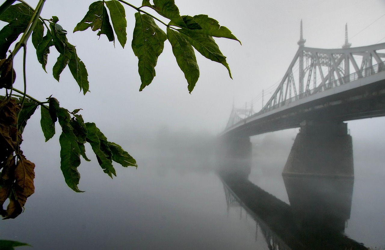 old bridge tver fog free photo