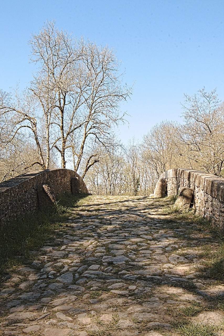 old bridge river cure free photo