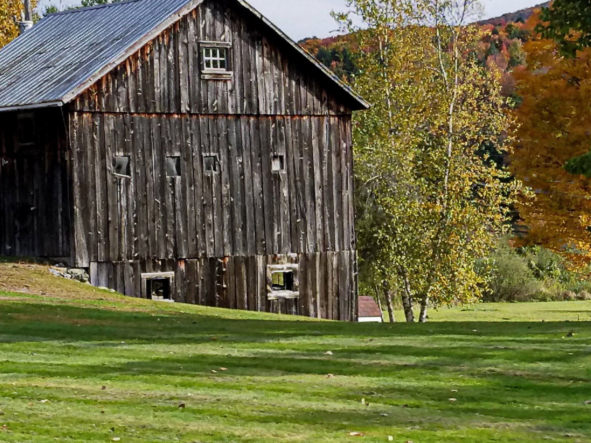 barn old foliage free photo