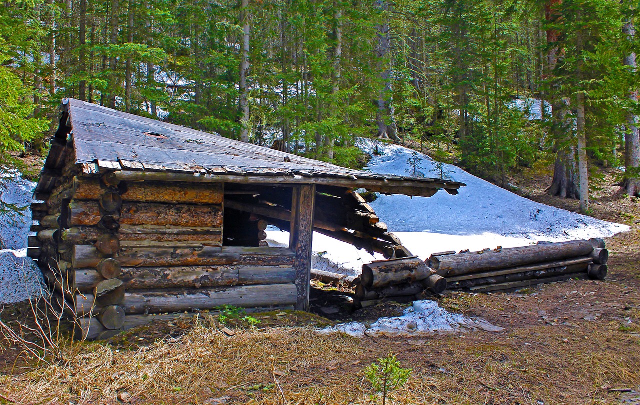 old cabin cabin dilapidated free photo