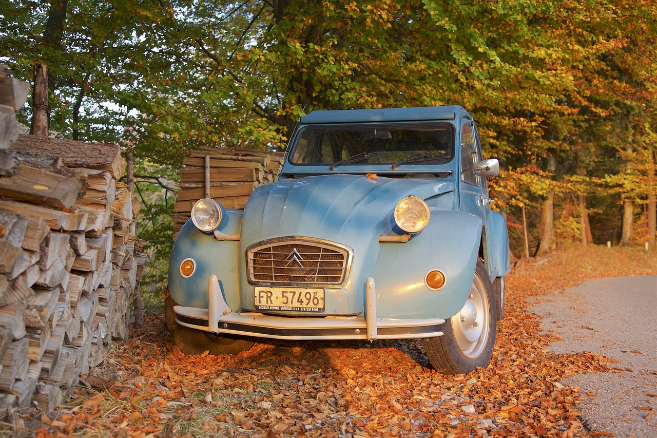old car  autumn  wood free photo
