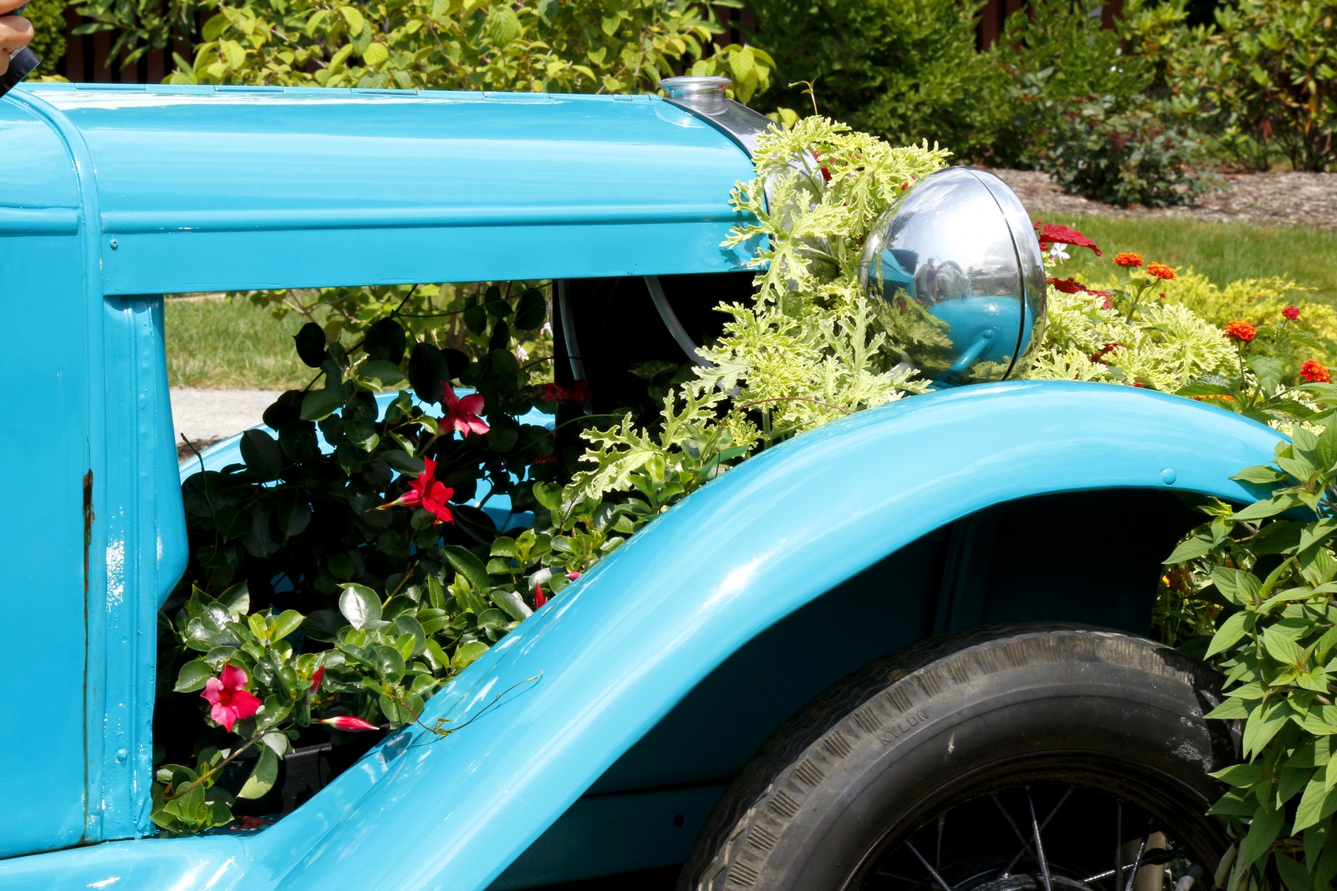 old car planter flowers free photo