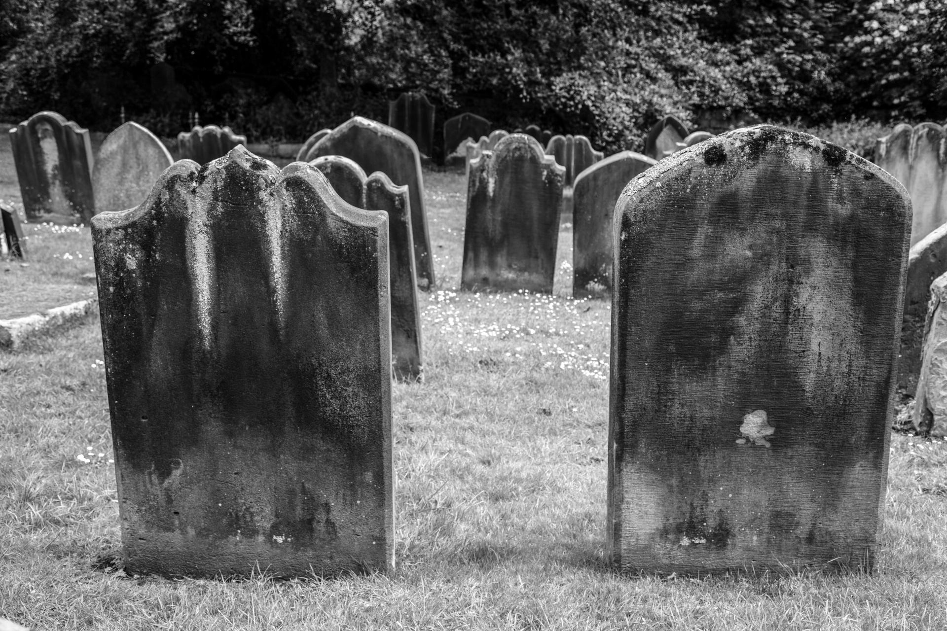 graveyard background halloween free photo