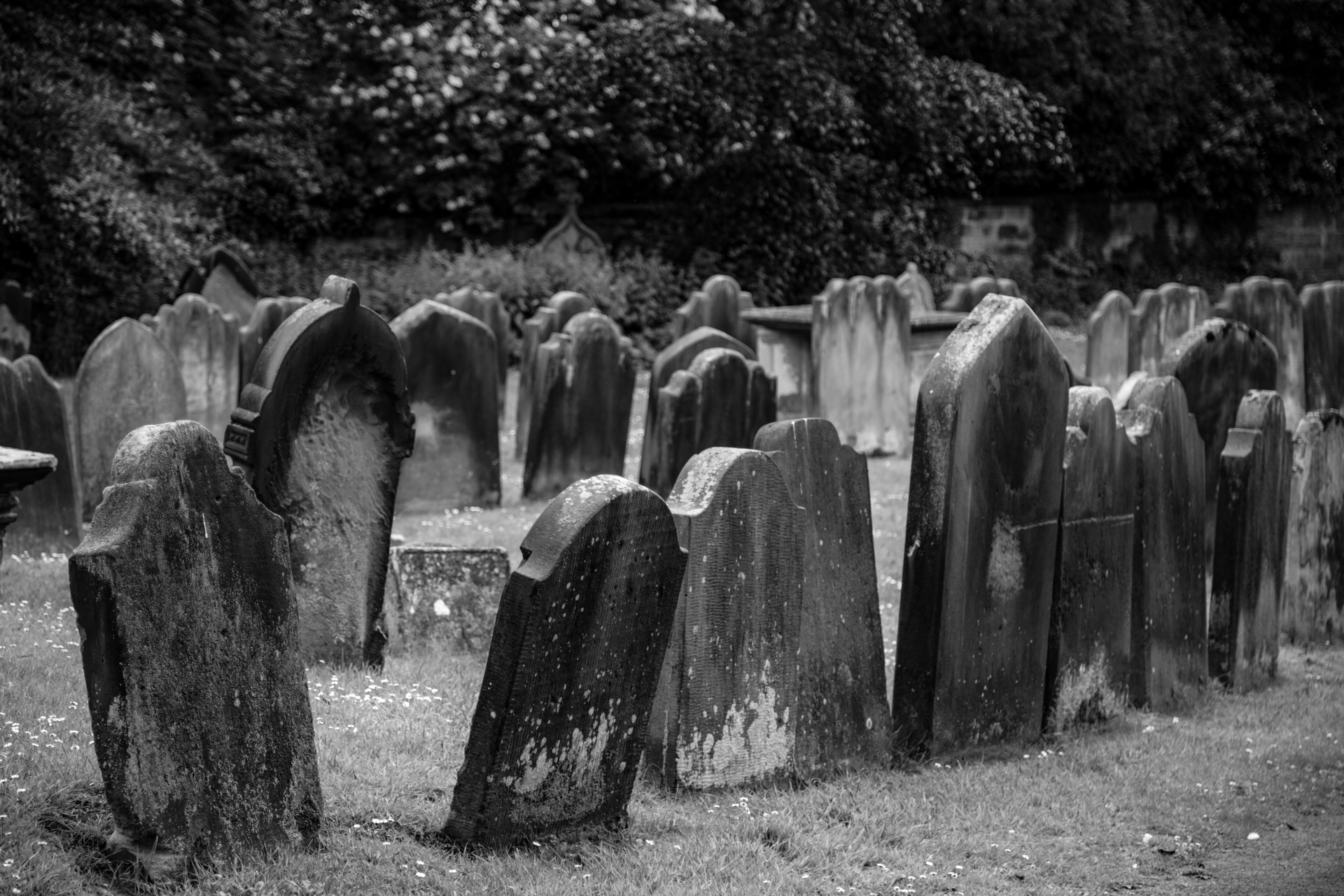 graveyard background halloween free photo