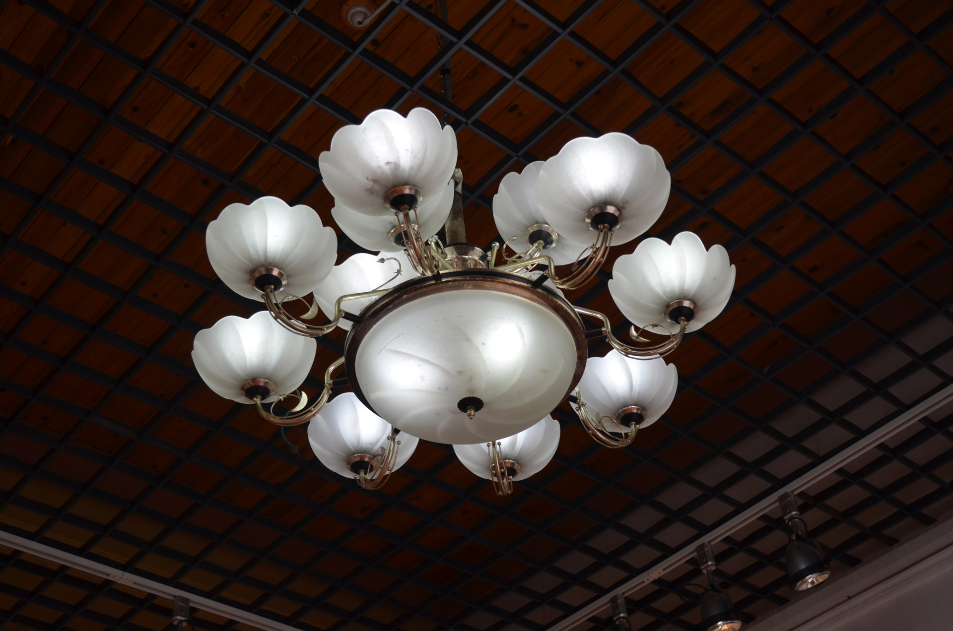chandelier lights light fixture free photo