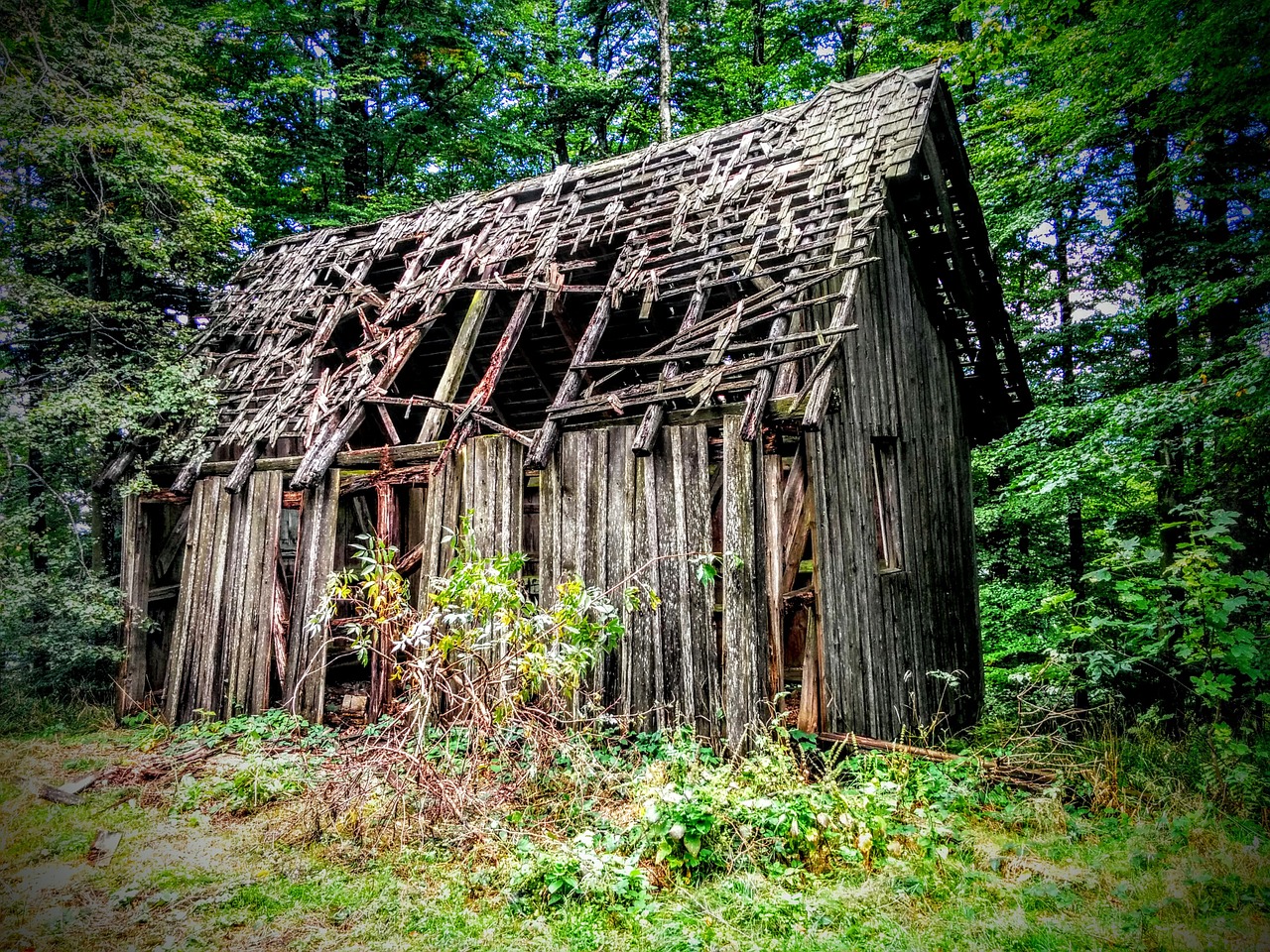 old cottage forest hut free photo