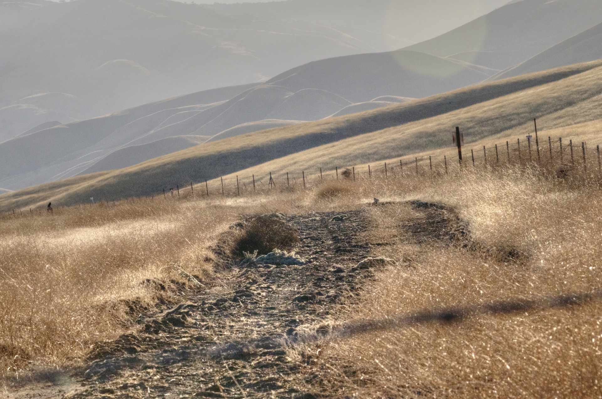 path dirt road free photo