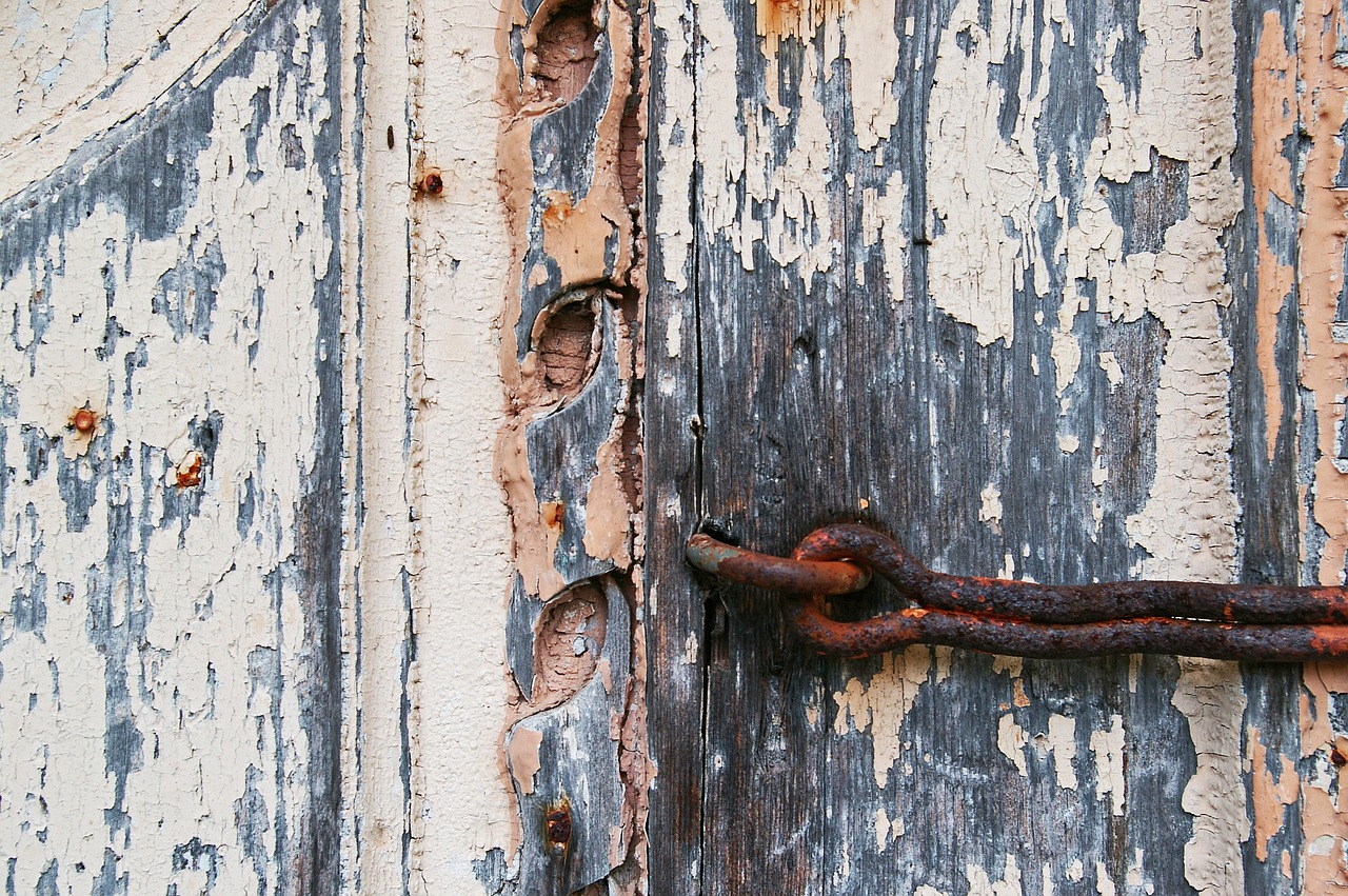 old door  closed  door free photo
