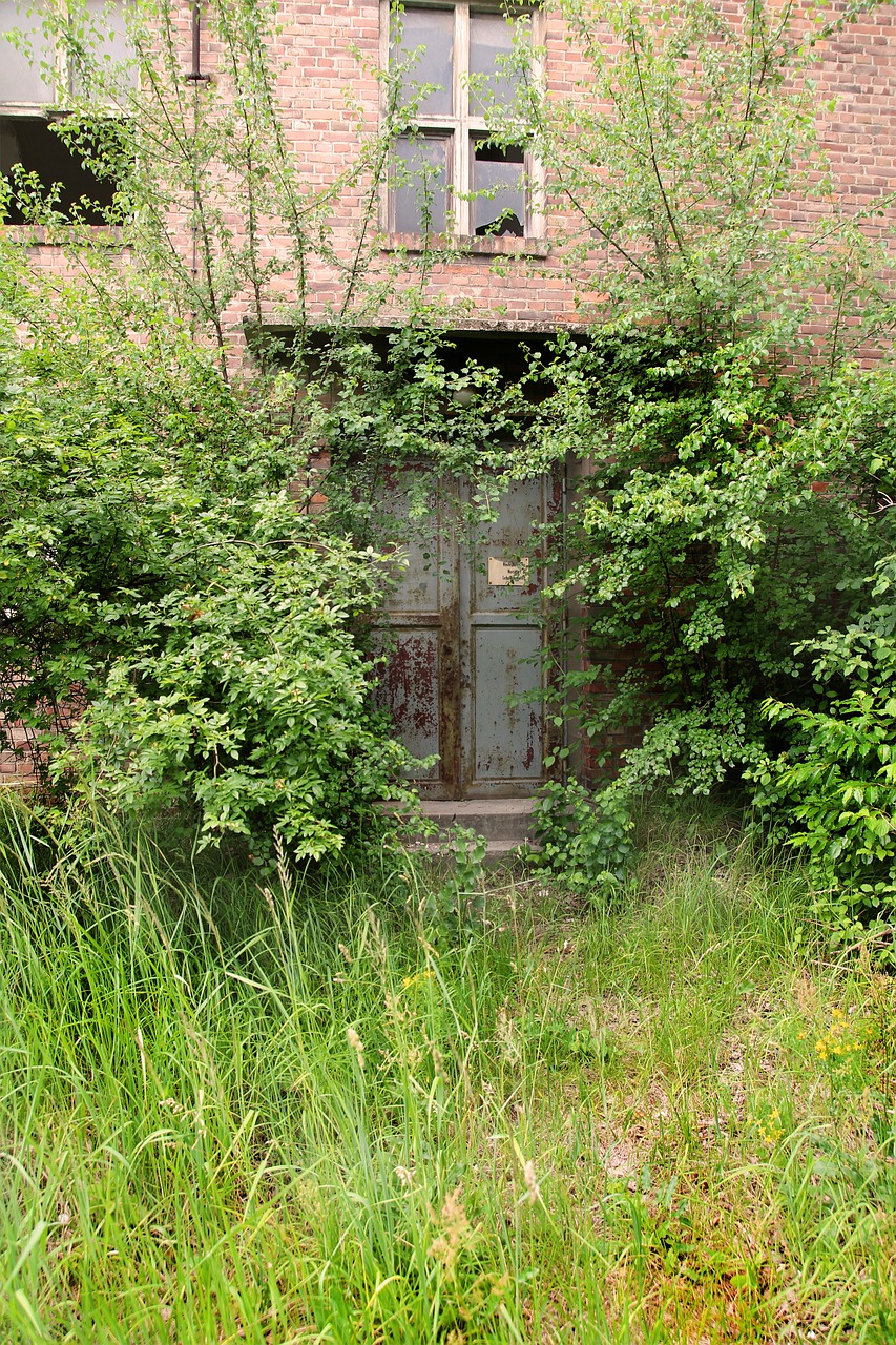 old factory decay door free photo
